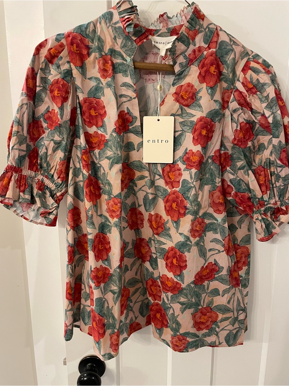 entro Floral Puff-Sleeve Blouse in Blush and Red